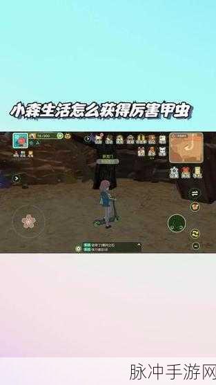 小森生活向前辈挑战任务全攻略,甲虫对决的智慧较量