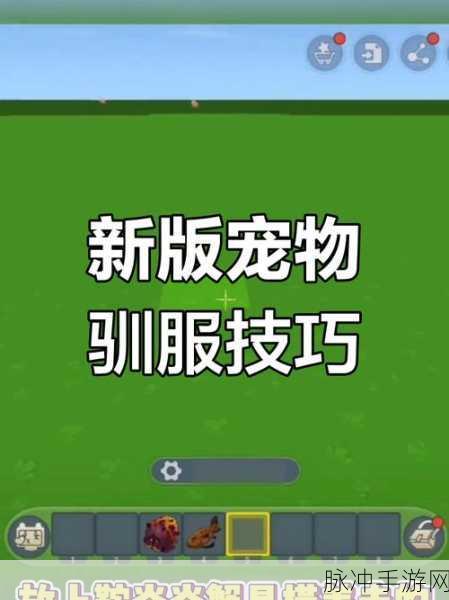 迷你世界驯鹿秘籍大公开,轻松掌握驯服技巧与美食攻略