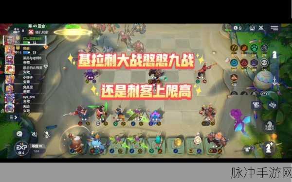 双基拉阵容称霸棋场,揭秘多多自走棋登顶秘籍