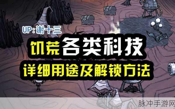 饥荒腾云丹,解锁飞行新境界的神奇丹药