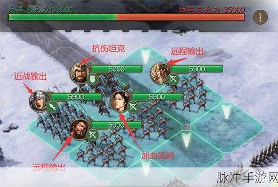 三国志·战棋版畅销揭秘,策略与战棋的激情交融