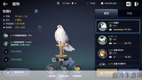 黑色沙漠手游,宠物收回全攻略