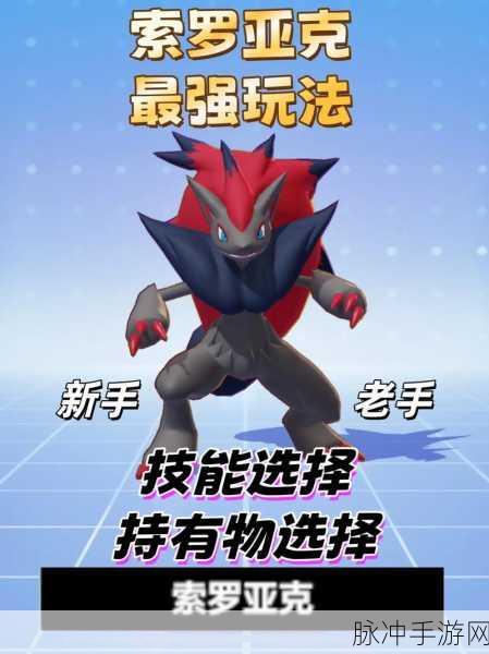 宝可梦大集结战术革新,索罗亚克持有物精选,战斗套路全面升级!