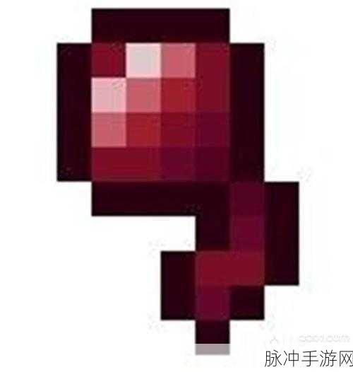 我的世界蜘蛛眼获取攻略与用途详解