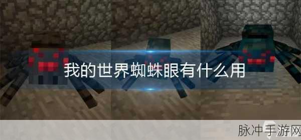 我的世界蜘蛛眼获取攻略与用途详解