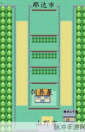 口袋妖怪绿叶版,揭秘最强宠物搭配秘籍