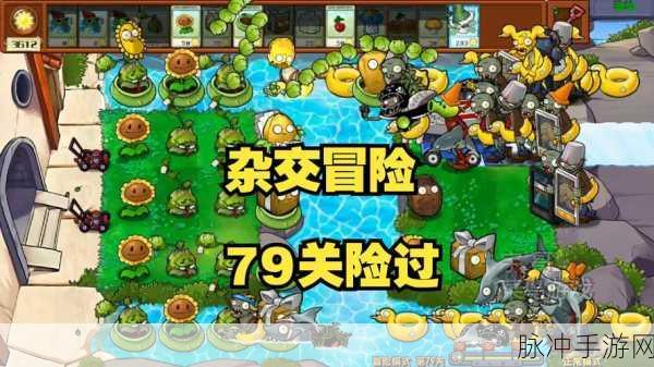 植物大战僵尸4-9，解锁策略秘籍，让你的冒险之旅畅通无阻！