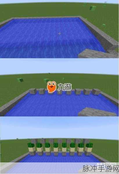 我的世界仙人掌,多功能生存神器全解析