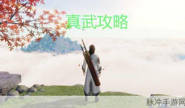 天涯明月刀手游真武震撼登场,时间终于揭晓!