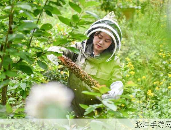 养蜂达人,甜蜜事业中的模拟角色新体验