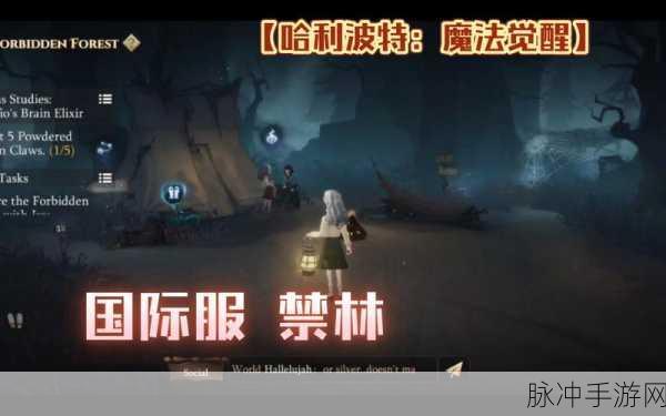 哈利波特手游深度揭秘,魔法聊天框的隐藏玄机