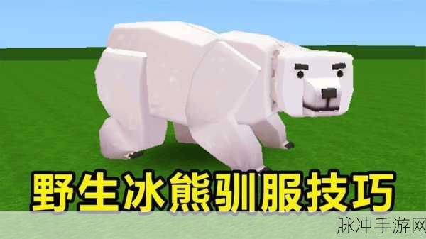 迷你世界冰熊驯服全攻略,解锁冰原上的霸气坐骑