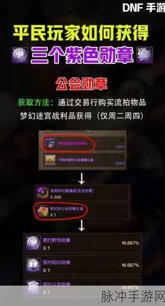 DNF勋章获取与提升全攻略,揭秘高效副本刷取秘籍