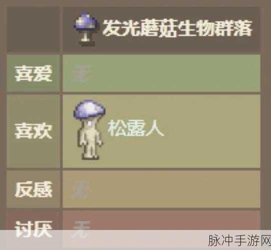 泰拉瑞亚尖球存在时长揭秘