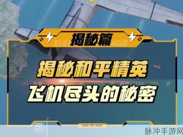 和平精英,揭秘人机背后的神秘面纱