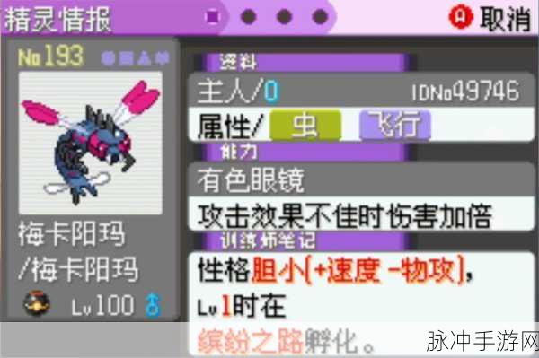 口袋妖怪漆黑的魅影,闪光精灵的秘密探索
