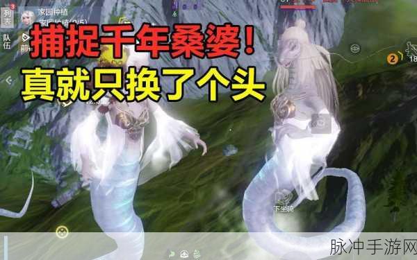 妄想山海探秘之旅,桑婆神秘居所全揭秘与深度剖析
