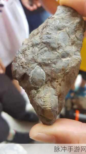 江湖风云再起，化石鉴定解锁古韵秘境