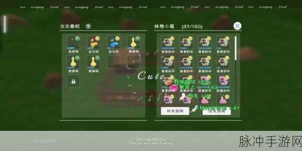 创造与魔法鸡的食物探秘,解锁各种饲料的奥秘