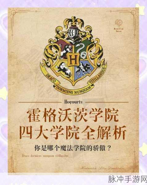 哈利波特手游选学院,差异与特色全解析