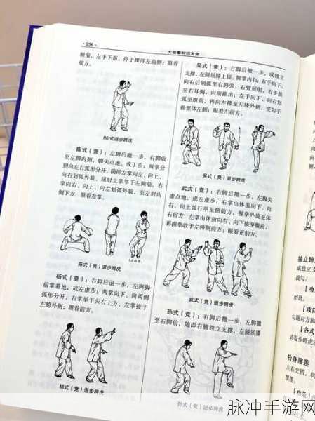 太极熊猫精炼石速刷秘籍,三大策略助你战力飙升!