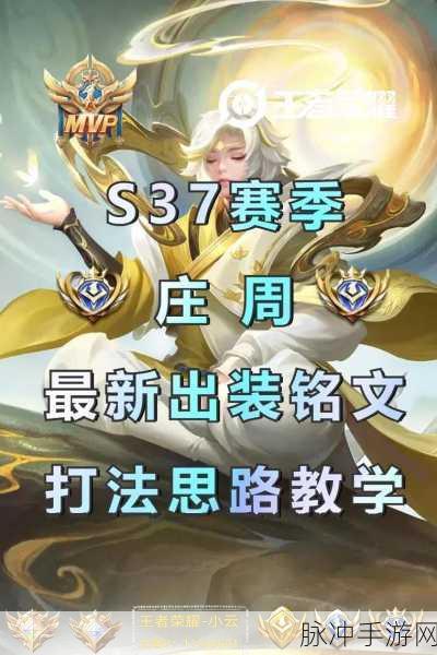 王者荣耀,百穿铭文与庄周的奇妙搭配,玩家必备攻略