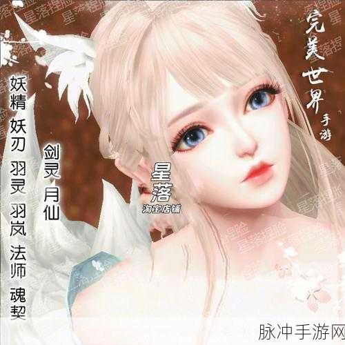 法师之力，燃爆完美世界，高伤害技能深度剖析