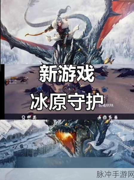 冰原守卫者组队探险全攻略,携手共闯冰原