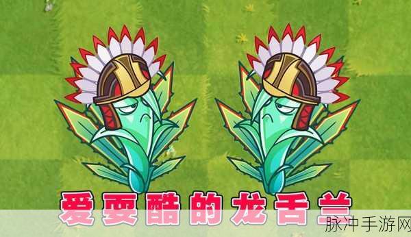 植物大战僵尸2龙舌兰获取全攻略,解锁强力植物的秘诀