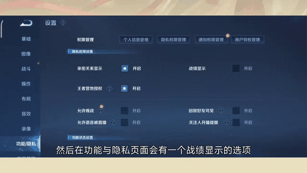 王者荣耀战绩管理,揭秘战绩删除与隐藏的秘密