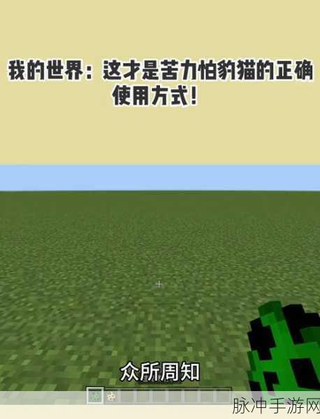 我的世界豹猫驯服全攻略,成为喵星人的挚友