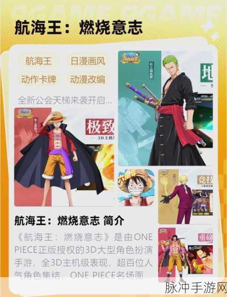 航海王燃烧意志,80套装属性大揭秘,扬帆起航新冒险!