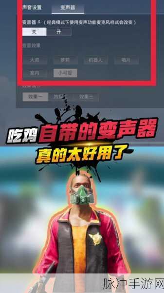 和平精英电音变声器全攻略,轻松打造独特声音
