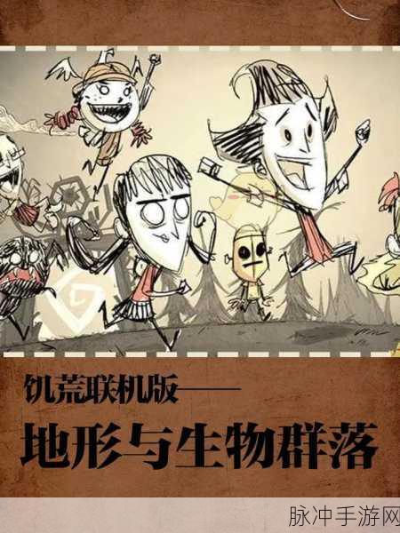 饥荒联机版,全地形特征与探图技巧大揭秘