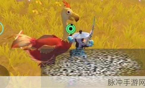创造与魔法,陆行鸟的食谱秘密花园,喂养艺术大公开!