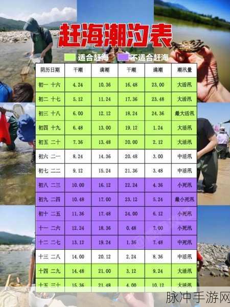 阴阳师手游,绿色固定标记技巧全攻略