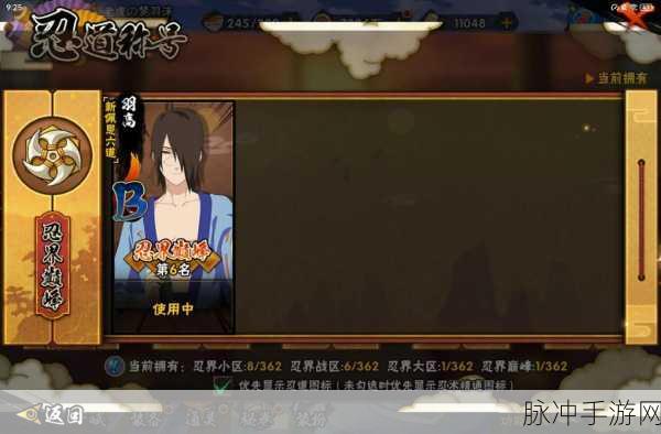 火影忍者OL,羽高与火主搭配阵容深度解析