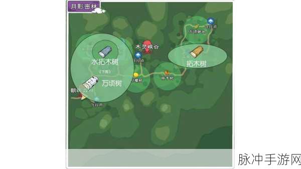 小森生活稀有资源全攻略，揭秘隐藏采集点