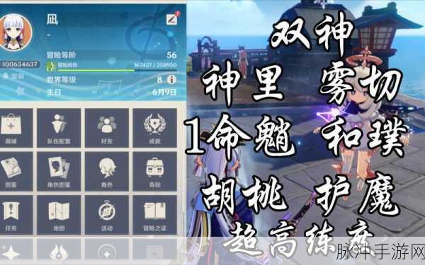 原神雾切之回光与顶尖之刃,技能与角色搭配全解析