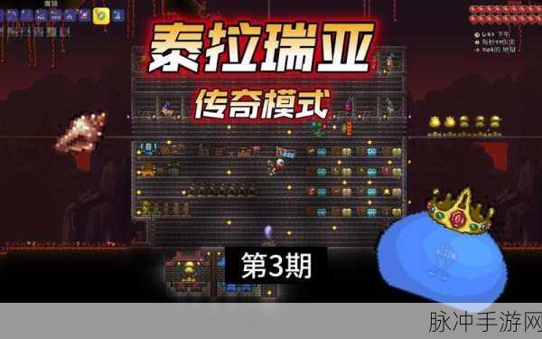 泰拉瑞亚奇遇记,揭秘海螺的梦幻寻宝之旅