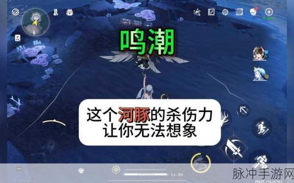 鸣潮咕咕河豚任务全揭秘，详细步骤搭配高效技巧