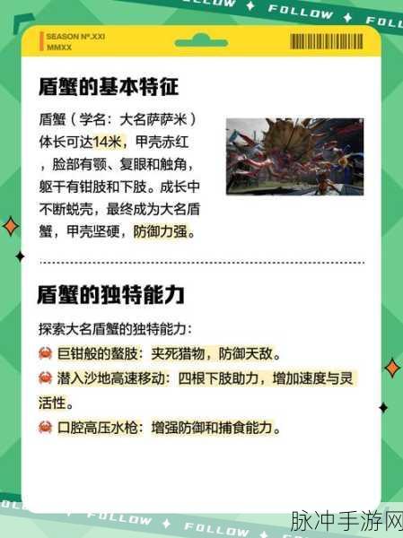 探寻怪物猎人边境盾蟹头壳的未解之谜