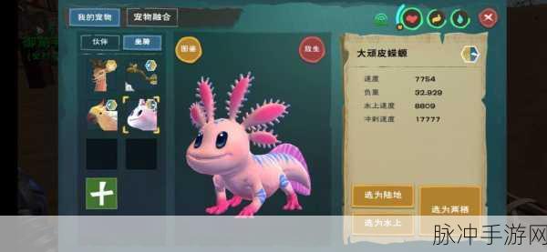 创造与魔法深度探索,打造顽皮蝾螈专属美食秘籍