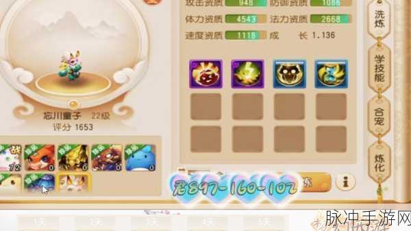 梦幻西游手游,捉鬼大师的终极奥义——揭秘高级驱鬼技巧