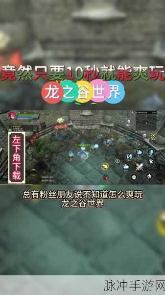 龙之谷手游2025选区全攻略,揭秘爆满服务器快速入法
