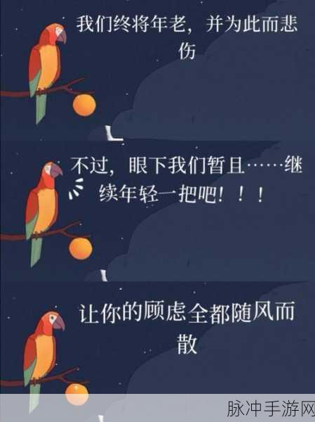 孤独之旅,与鸟儿共舞的奇妙养成记——孤独的鸟儿安卓版深度体验