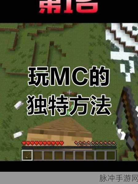 我的世界,解锁碗的无限可能,创意玩法大揭秘