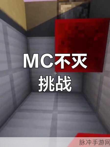 我的世界,解锁碗的无限可能,创意玩法大揭秘