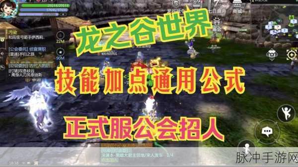 龙之谷守护者加点全攻略,防御与输出并进的修行之路