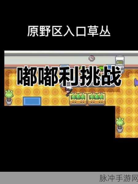 宝可梦塔挑战升级,精灵世界的探险奇遇记